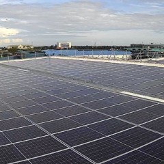 Năng lượng tái tạo sẽ thống trị ngành sản xuất điện năm 2025