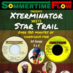 Xterminator Meets Star Trail * Vinyl Reggae Mix