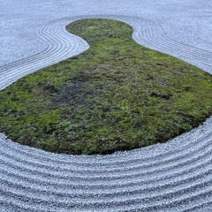 dnb in tha den 🌬️