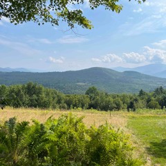 Hot and Heavy by Lucy Dacus