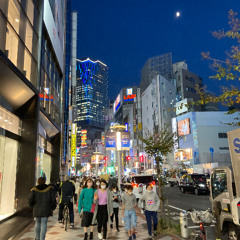 a lullaby for young adult