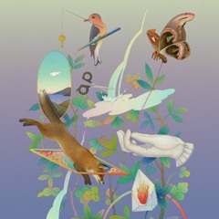 National Poetry Competition 2021 judges podcast: Fiona Benson, David Constantine and Rachel Long