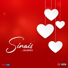 NSM - Sinais