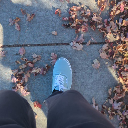 Throw Me A Bone (demo)