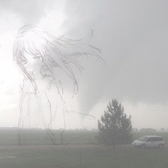 project_0 (лепестки)