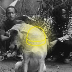 DUMA, Black Rhinos (shot to extinction for their horns), edit, 10:50, Kampala/Nairobi, 2023