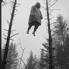 RISE (after-the-impact)