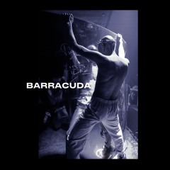 Sina XX - Barracuda