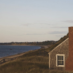 Dancing In The Sand - Pilar Victoria (wvltr remix)