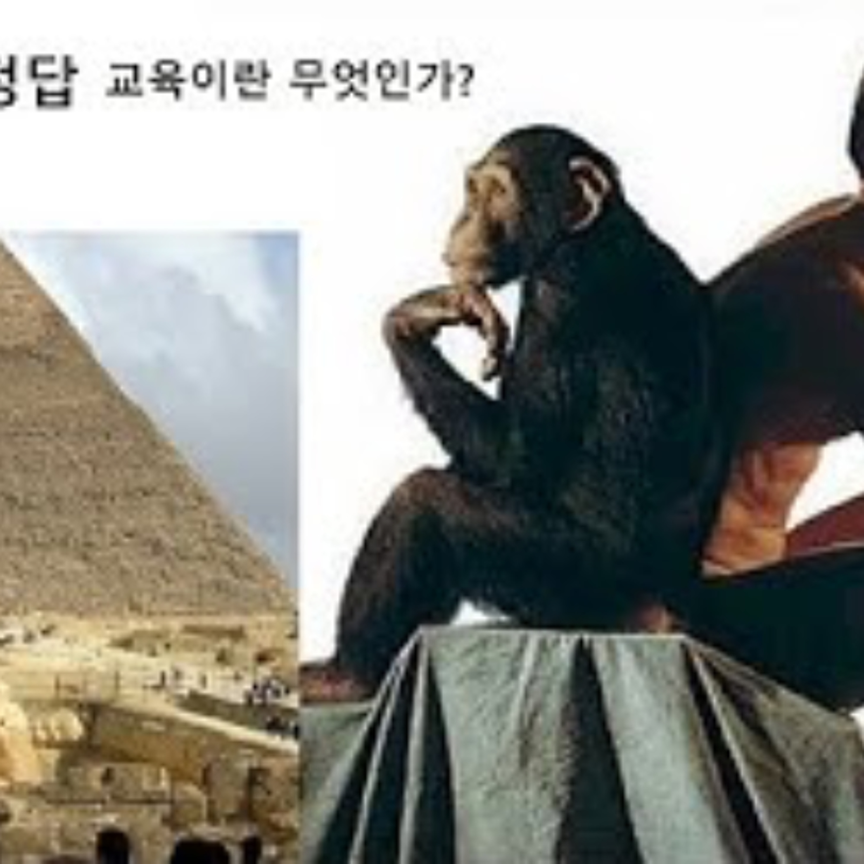 2026-05-03 구조론의 정답, 교육이란 무엇인가