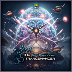 The Trancemancer - Soul Reveal (Album) [BMSS Records 2025]