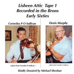 Lisheen Attic Tape  Cornelius P O Sullivan and Denis Murphy