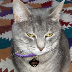 Recording 10-17-23, 5.11.00 PM.m4a (demo i made 3 yrs ago on too much vivance)