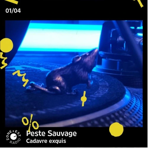 Peste Sauvage Cadavre Exquis (Avril Soundcloud podcast image for