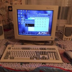 startup sequence - pigeon head [roughedit+-0192.v.1.2.}