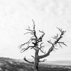 Face Down On His Back