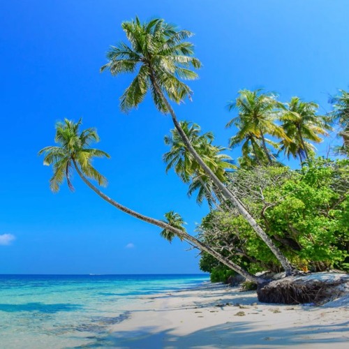 Stream Cafe De Anatolia Ambient Calm Place Beautiful Chill Music Mix