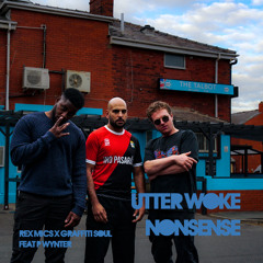 Utter Woke Nonsense (ft. P Wynter)