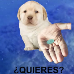 xanny (xd)