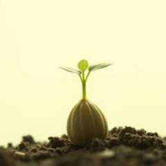 Grow