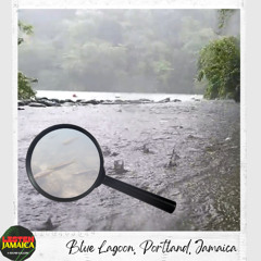 Raindrops Above and Fish Bumps Below at Blue Lagoon, Jamaica LJP May 2025 - HEADPHONES Please