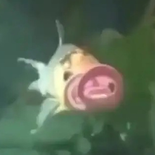 that one wip but even better