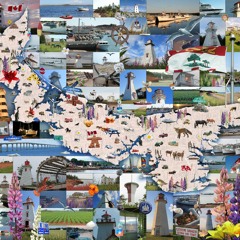 Where Lighthouses Glow