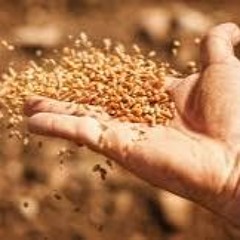 Key to the Parable of Parables: Part 2 (Rev. Bill Williams, 10/29/23)