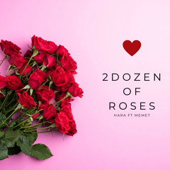2 Dozen of Roses Hara.691 ft Memet