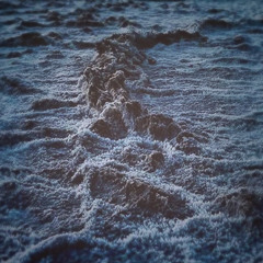 NRMNT - High Tide