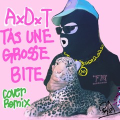 AxDxT  T'as Une Grosse Bitecover by onisirige