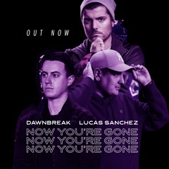 Basshunter - Now You're Gone (Dawnbreak & Lucas Sanchez Hardstyle Bootleg) [FREE RELEASE]