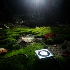 "Just off in our own world"