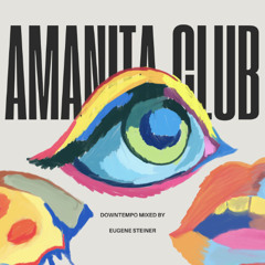 Steiner Sessions 007 @ Amanita Club (downtempo)