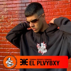 TERMIX002 con EL PLVYBXY (DJ Mix)