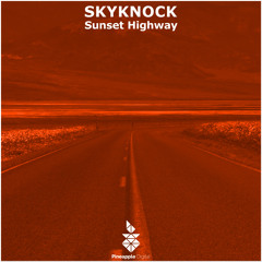 Sunset Vibes (Original Mix)