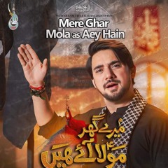 Mere_Ghar_Mola_Aey_Hain___Farhan_Ali_waris___Muharram_2024(128k).mp3