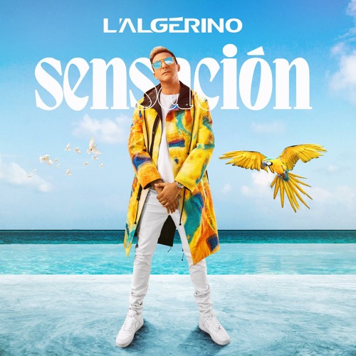 Stream Sensación by L'Algerino | Listen online for free on SoundCloud