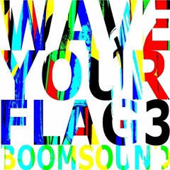 wave your flag 3