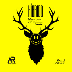 Memory of Acid_Rave Dreams