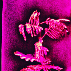 benzoned outlooking inward with trea leaves (reminiscin')