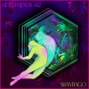 Octo Friends #62 - Shantiago DJ mix artwork - Electronic music tracklist cover image