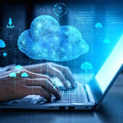 NetSuite Development Services