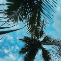 03 Wònmaanlok Jab Ebbwer - M POLEN VOL. 3