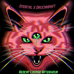 Imortal x Druckkraft @ Andre Drath's Birthday Bash