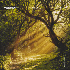 Volen Sentir & Marsh - Different (feat XIRA)