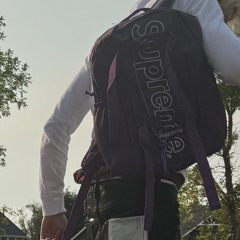 purple!supreme!bag