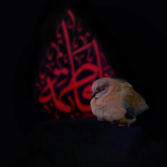 يا أمّنا يا فاطمة _ الرّادود حسن عميص