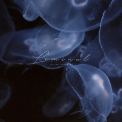 Vadim Berbenets - Snowflakes