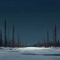 Taiga night